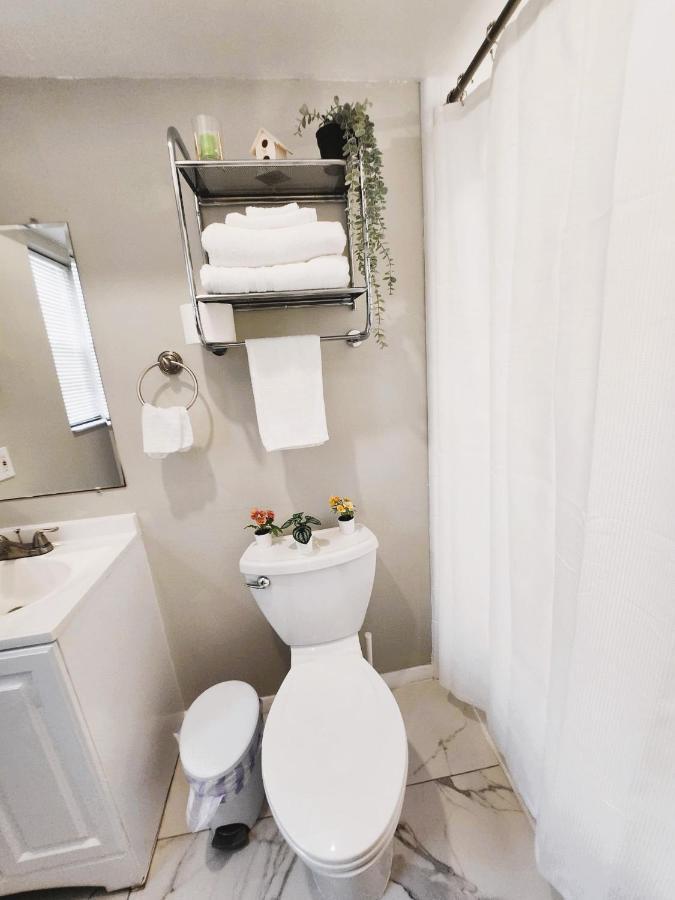 Adorable Mini Suite In Тампа Экстерьер фото