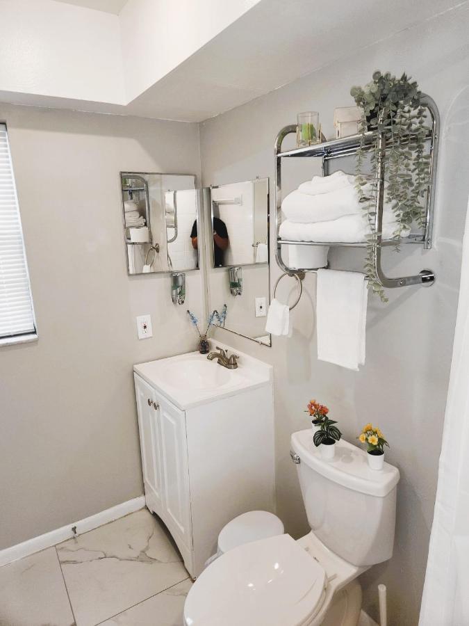 Adorable Mini Suite In Тампа Экстерьер фото